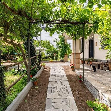 Villa Etna, Salvia E Rosmarino à Maletto Extérieur photo