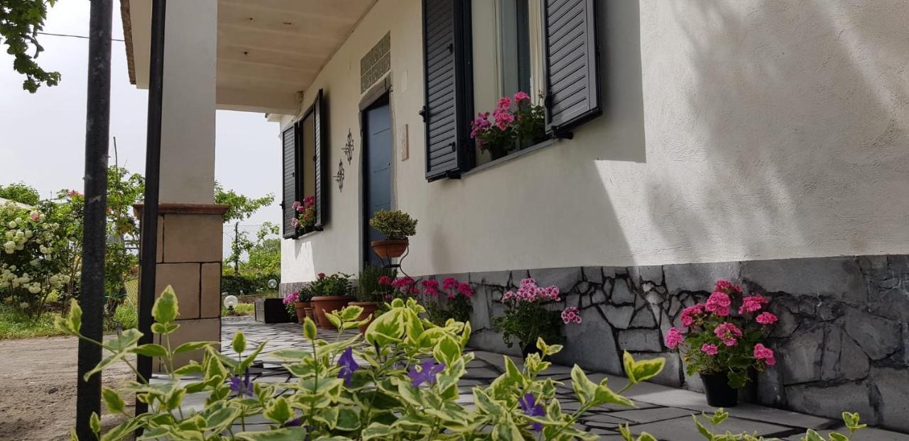 Villa Etna, Salvia E Rosmarino à Maletto Extérieur photo