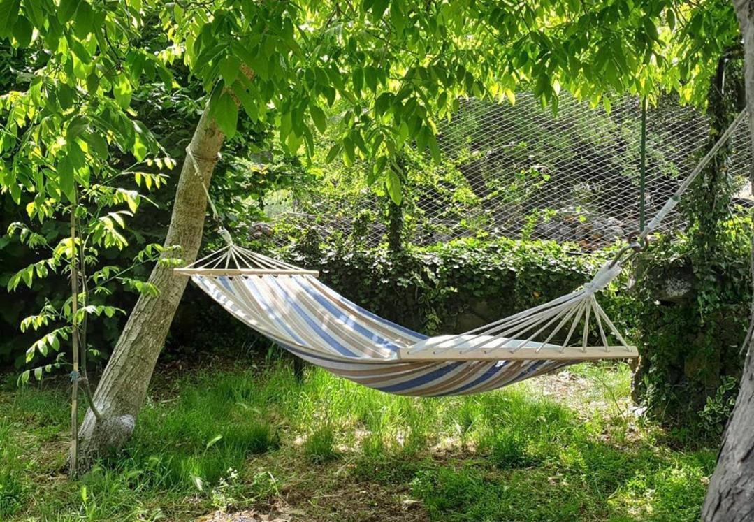 Villa Etna, Salvia E Rosmarino à Maletto Extérieur photo