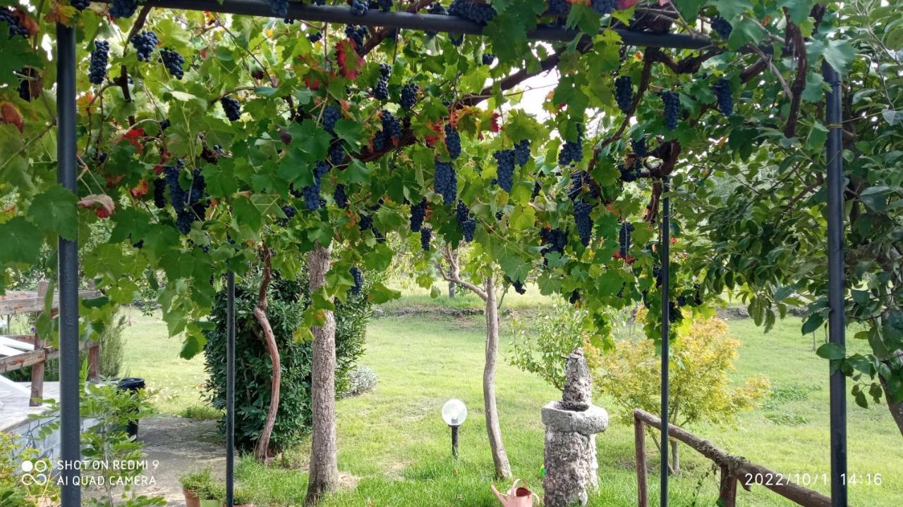Villa Etna, Salvia E Rosmarino à Maletto Extérieur photo