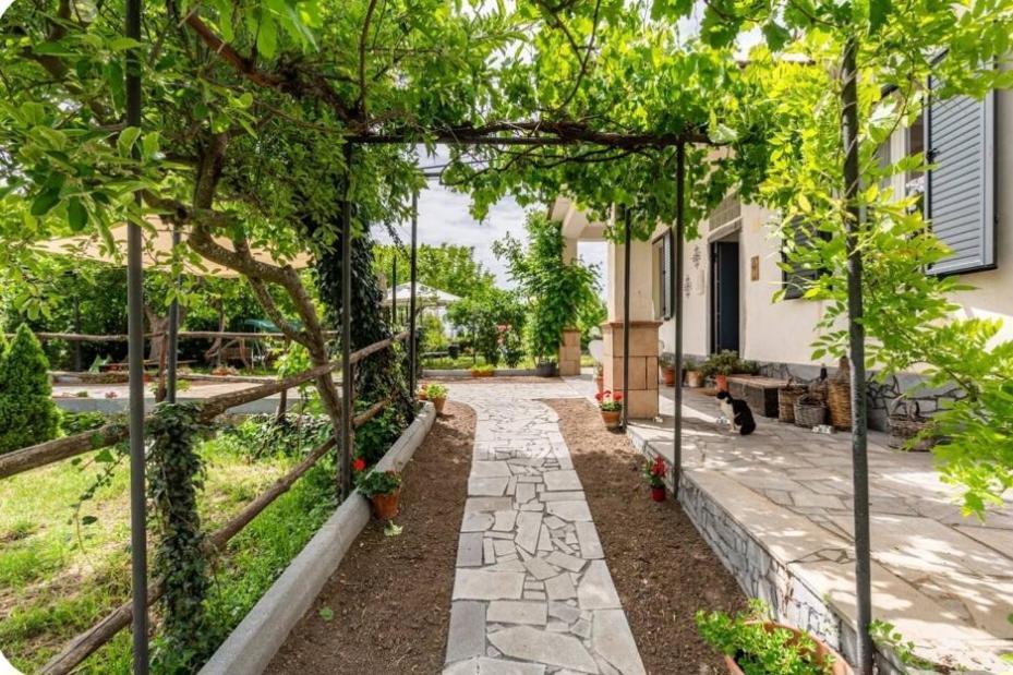 Villa Etna, Salvia E Rosmarino à Maletto Extérieur photo